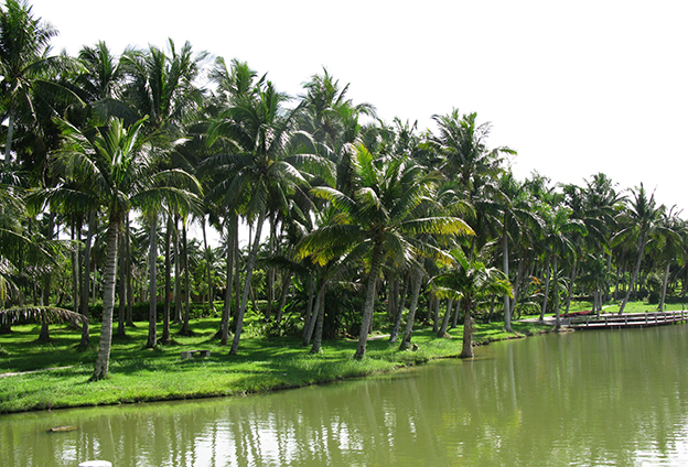 只有創(chuàng)新產(chǎn)品，才能占據(jù)市場(chǎng)主導(dǎo)地位